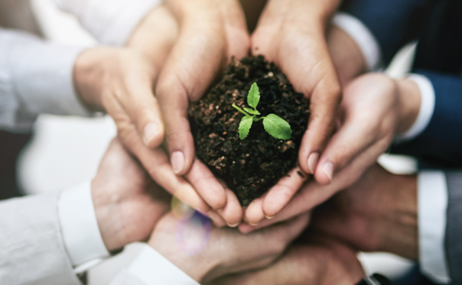 sustainability